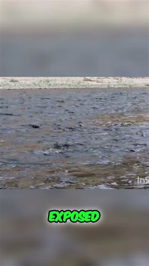 Kayaking Rapids: Sketchy Launch Ahead?! Watch This Before You Go!