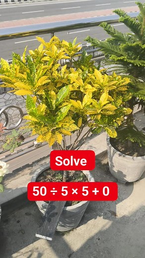 29 comments | Solve it Math Test solve | M Mathematics | Facebook