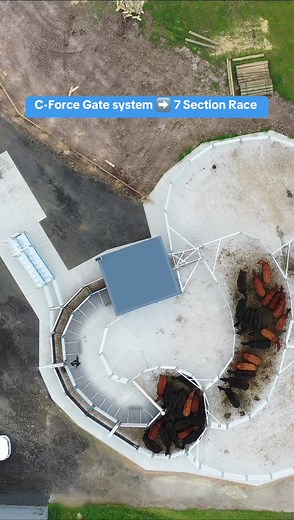 Optimize Cattle Flow with Te Pari Cattle Yards