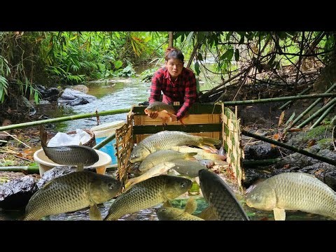 36 Bamboo Fish Traps That Catch BIG Fish in Streams! (Primitive Survival Skills)