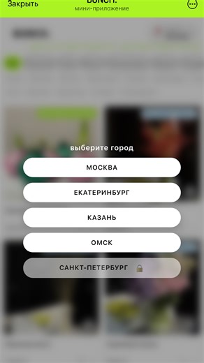 Bunch охапки • (не) Букеты, опт Цветы для дома и бизнеса on Instagram: "И вы притягивайтесь к нам! Ссылка на бот в шапке профиля. Телеграмм-бот для заказа BunchMskBot"