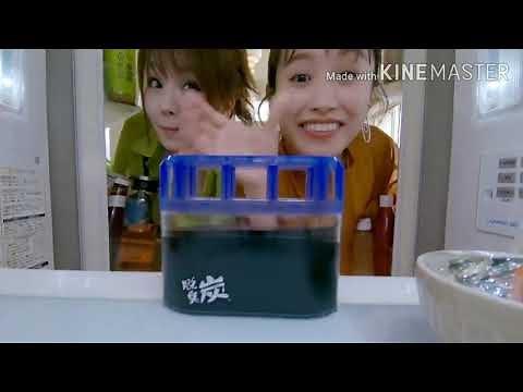 エステー 脱臭炭 CM 5分耐久