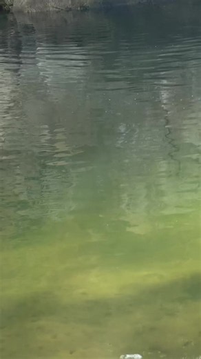 Roldana-Monteagudo: pesca y bendición de las aguas