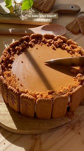 No bake biscoff cookie butter cheesecake #nobakecheesecake #cheesecakelovers #NoBakeDessert #bakingrecipe | Feed Annna