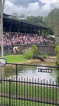 Robert Irwin feeding a Saltwater Crocodile | Australia Zoo