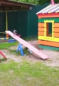 704K views · 15K shares | Amazing videos on Reels | Facebook