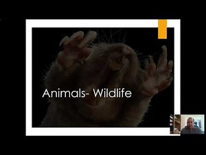 Wildlife Management- Part 1