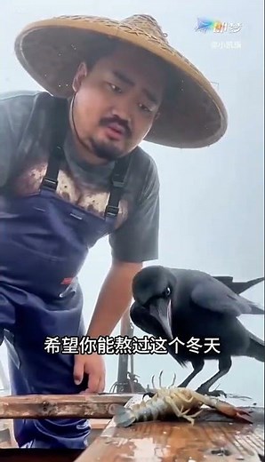 Should This Crow Be Saved? A Heartwarming AI Mystery! AI ethics, crow rescue, AI debate, a