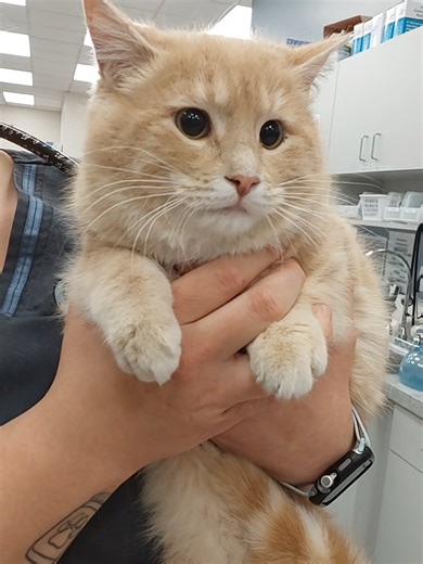 All jokes aside, we love our jobs and the friends we make along the way