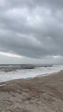Heavy winds develop on Amelia Island in Florida as Hurricane Idalia makes landfall on the gulf coast