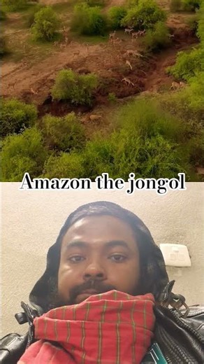 #heenaprajapati #guessthesong #babifreitas #bome #guess