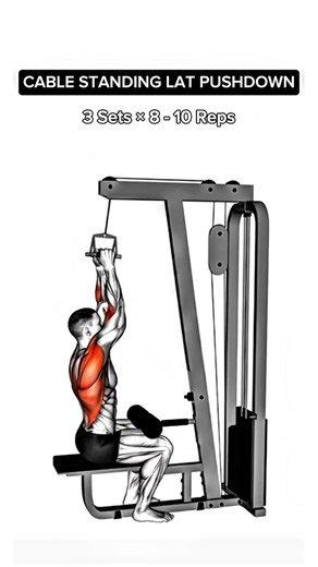 FULL BACK WORKOUT 🔥 BUILD A WIDE & STRONG BACK | GYM MOTIVATION #gymmotivation #gym #gymworkout