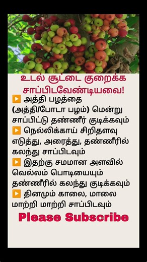 அத்தி பழம் சாப்பிட்டா என்ன ஆகும்? Athi Fruit Health Benefits & Weight Loss Tips!