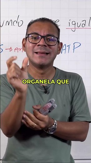 O Ciclo de Krebs e o Combustível da Vida