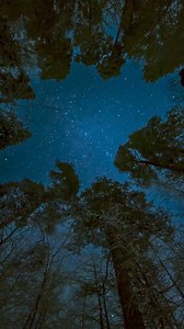 Jason Castro on Reels | Facebook