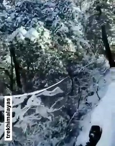 Kalka - Shimla toy train 🚂 IG- https://instagram.com/thehimalayas.in | Himalayas