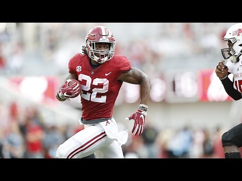 Najee Harris || Alabama Crimson Tide Running Back || 2020 Highlights