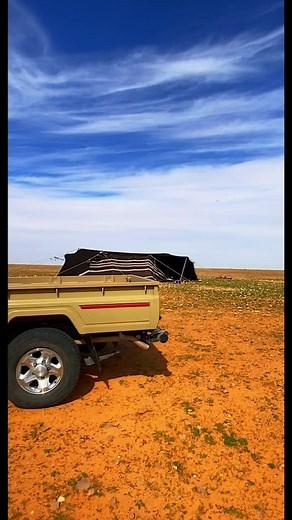 مساء الخير#ابو_غلا #احمد_الشمري #غنم #بدو #الشمال_عرعر_رفحاء_روضة_هباس_الحفر #الغنم #اكسبلور #اكسبلورexplore #اكسبلورexplore #نعيم #عطايا_لله #ربيع_الشمال #explore