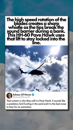 PAVE HAWK DESERT WHISTLE