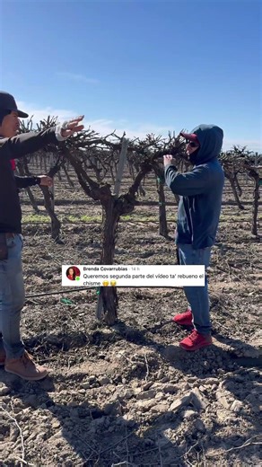 Buscan alos líderes donde quedó la inversión del criptomoneda 😢