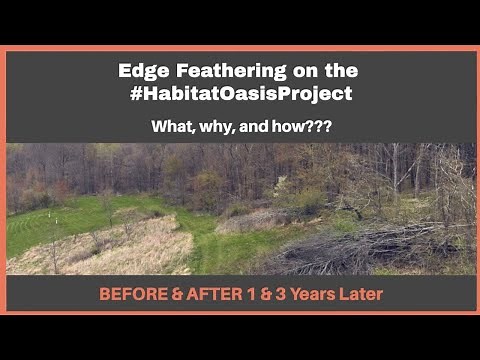 Edge Feathering for habitat management, What, Why, and How to Get Started Before and After