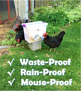 The Waste-Proof, Rain-proof, Mouse-proof Chicken Feeder - Revolutionary Chicken