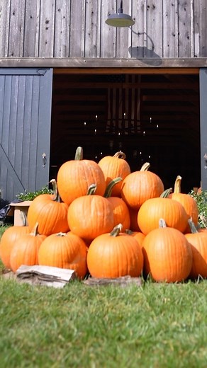 Hungry for Home on Instagram: "Part I of my newest episode with @homeworthy, “At Home With Ruth McKeaney | Get Ready For A Wedding at Hillside Farm,” is finally here! From behind-the-scenes preparations to heartfelt moments with family and friends, see how we brought everything together at Hillside Farm for Avery’s big day. Find the full episode at homeworthy.com or on Homeworthy’s Youtube channel! . . . #Homeworthy #AtHomeWithRuthMcKeaney #HillsideFarm #weddingday #wedding #weddingprep #celebra