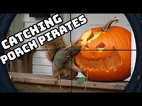 Squirrel Hunting (EDgun Leshiy 2 REPR)