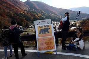Kyoto posts signs in four languages warning tourists about bears