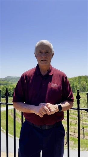 🍇🌄 Sip in the scenery at Point Lookout Vineyards ! Ready to elevate your wine experience? With panoramic views and a pour for every palate, Point Lookout Vineyards pairs unforgettable moments with award-winning wines. 🍷 From six bold reds to four crisp whites—and ten more dry to semi-sweet varieties—you’ll find the perfect glass to suit your taste. Come for the wine, stay for the view... and leave with a memory to savor. | Visit Hendersonville, NC