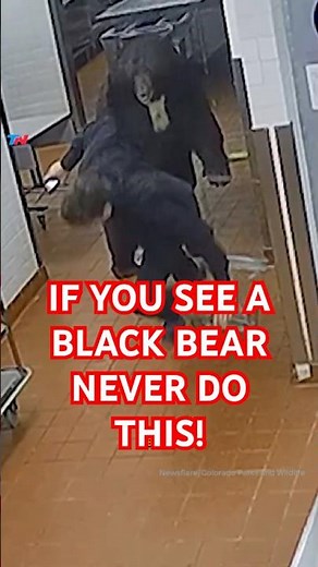 If you see a Black BEAR, NEVER do THIS!