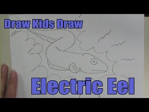 How To Draw: Electric Eel