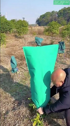 Breathable plant cover method for young trees 🌱🛡️