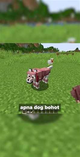 Minecraft Myth Confirmed: New Versions Have Wolf Armor!