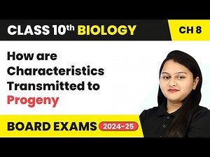 How are Characteristics Transmitted to Progeny - Heredity | Class 10 Biology Ch 8 | CBSE 2024-25