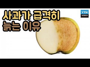 Why do apples turn brown over time? / YTN Science