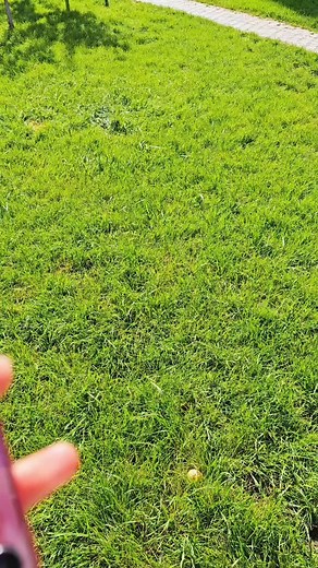 Kasim Tech on Instagram: "This little beauty is designed for girls, right? Samsung flip7"