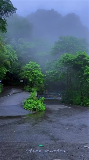 explorer mallu | India 🇮🇳 on Instagram: "Attapadi,palakkad,Kerala 🌿 //Credit:- @arun_arimbra 📞CONTACT US FOR THE BEST RESORTS & PACKAGE 👇 📞CALL:- +91 7306650787 📞CALL:- +91 7510505990 📞CALL:- +91 8075959142 📞CALl:- +91 8075474926 📞CALL:- +91 6238501401 📍WAYANAD 📍MUNNAR 📍VAGAMON 📍KAKKADAMPOYIL 📍OTTY 📍KODAIKANAL 📍ALAPPUZHA HOUSE BOATS #attapadi #palakkad #kerala #tamilnadu"