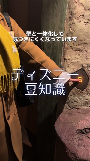 ディズニーランドにエレベーターが！
