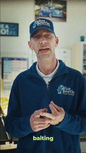 DIY vs Professional Cockroach Control