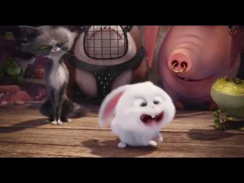 La Vida Secreta de tus Mascota - Clip Snowball tiene un accidente