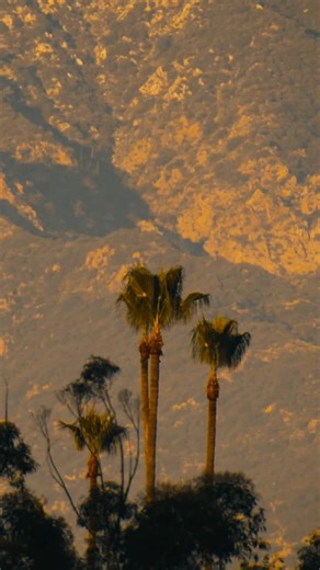 Rose Bowl Game on Instagram: "The Grandest Stage In Sports 🌹 #RoseBowl #RoseBowlGame"