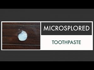 Toothpaste under the Microscope [Microsplored]
