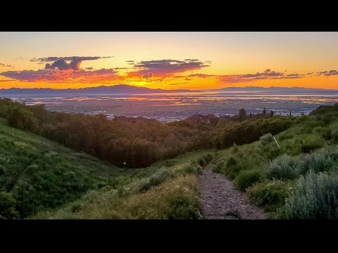 The Power of a 3 Mile Walk | Benefits of Walking in Nature #health #walking #fit #fitness #train #yt