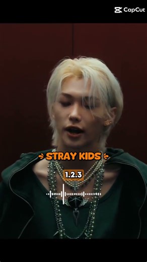 Les musiques où y a des paroles en français.