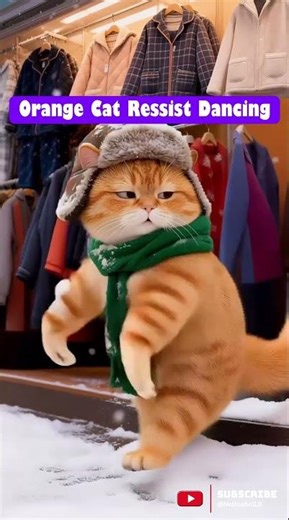 This Grumpy Orange Cat Can’t Stop Dancing! 🐈‍⬛💃 #CuteCats #FunnyPets