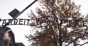 4 in 10 millennials don't know 6 million Jews were killed in Holocaust, survey shows