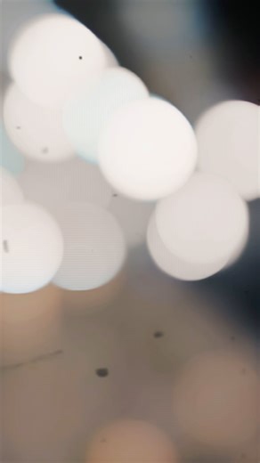 Join us for high-flying pig-blasting action and make unforgettable memories. Book now online, call, or email 📞 325-515-0175 📧 hunt@dividedfind.com 🔗 helicopterpighunting.com | Helicopter Pig Hunting