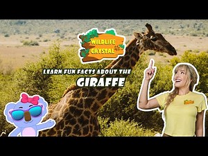 Giraffe Facts