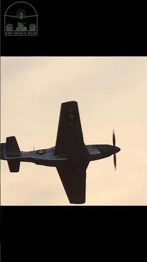 P-51D Mustang sunset flyby #ww2 #wwii #history #aviation #p51 #mastersoftheair #airshow